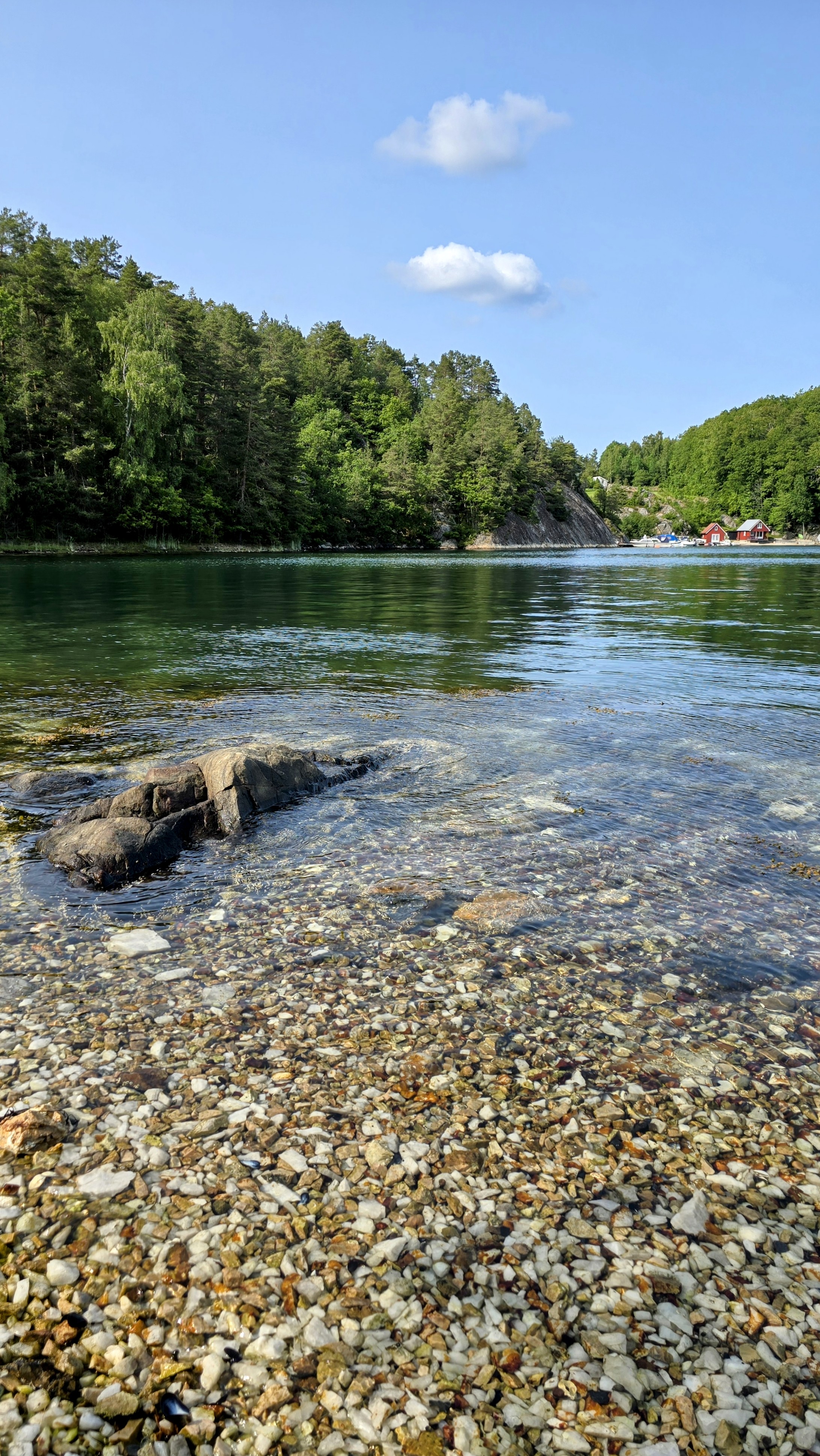 Bilde for Badetur til Breiviksfjorden